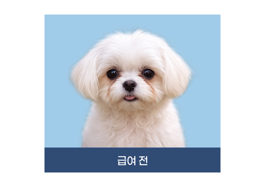 [갤러리아 백화점 1위] 주식 든든한끼 골라담기 (10종)