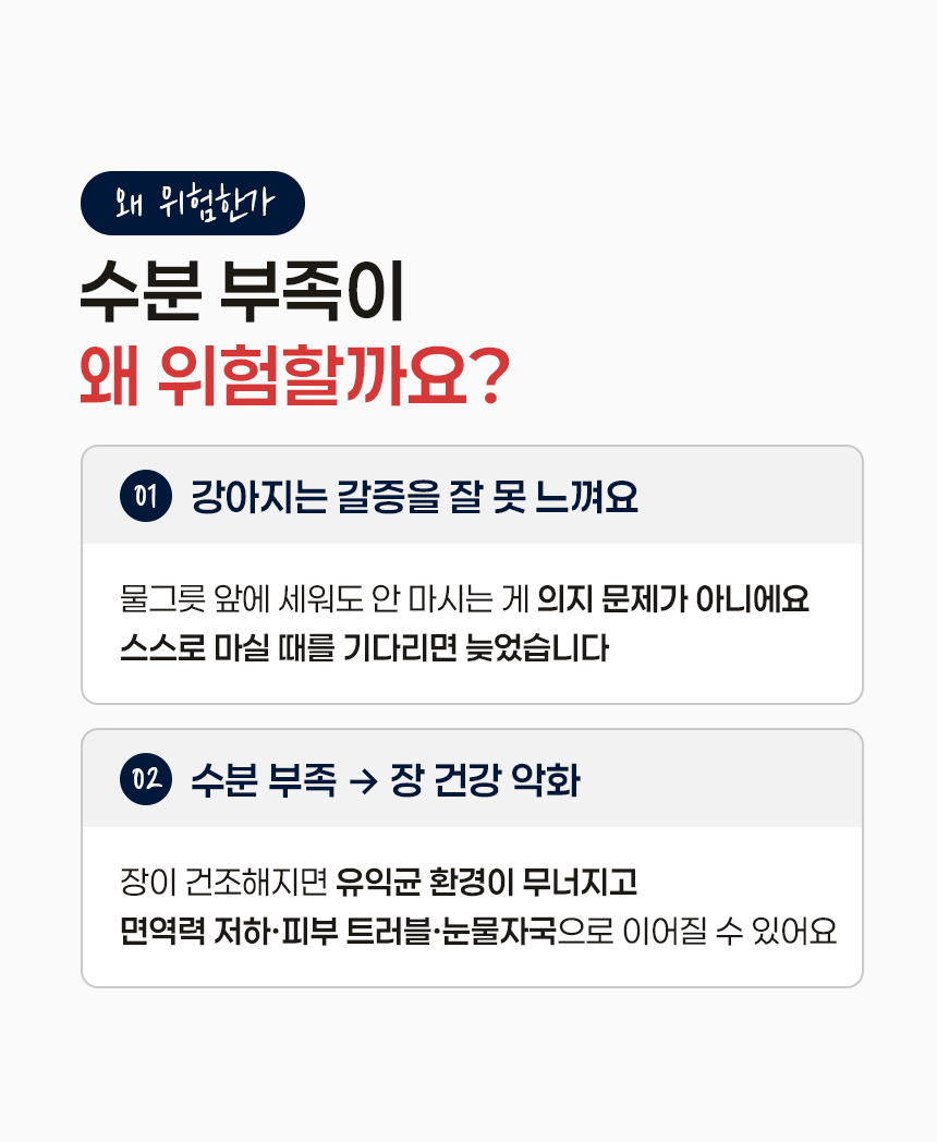 포스트바이오틱스 펫밀크 100ml