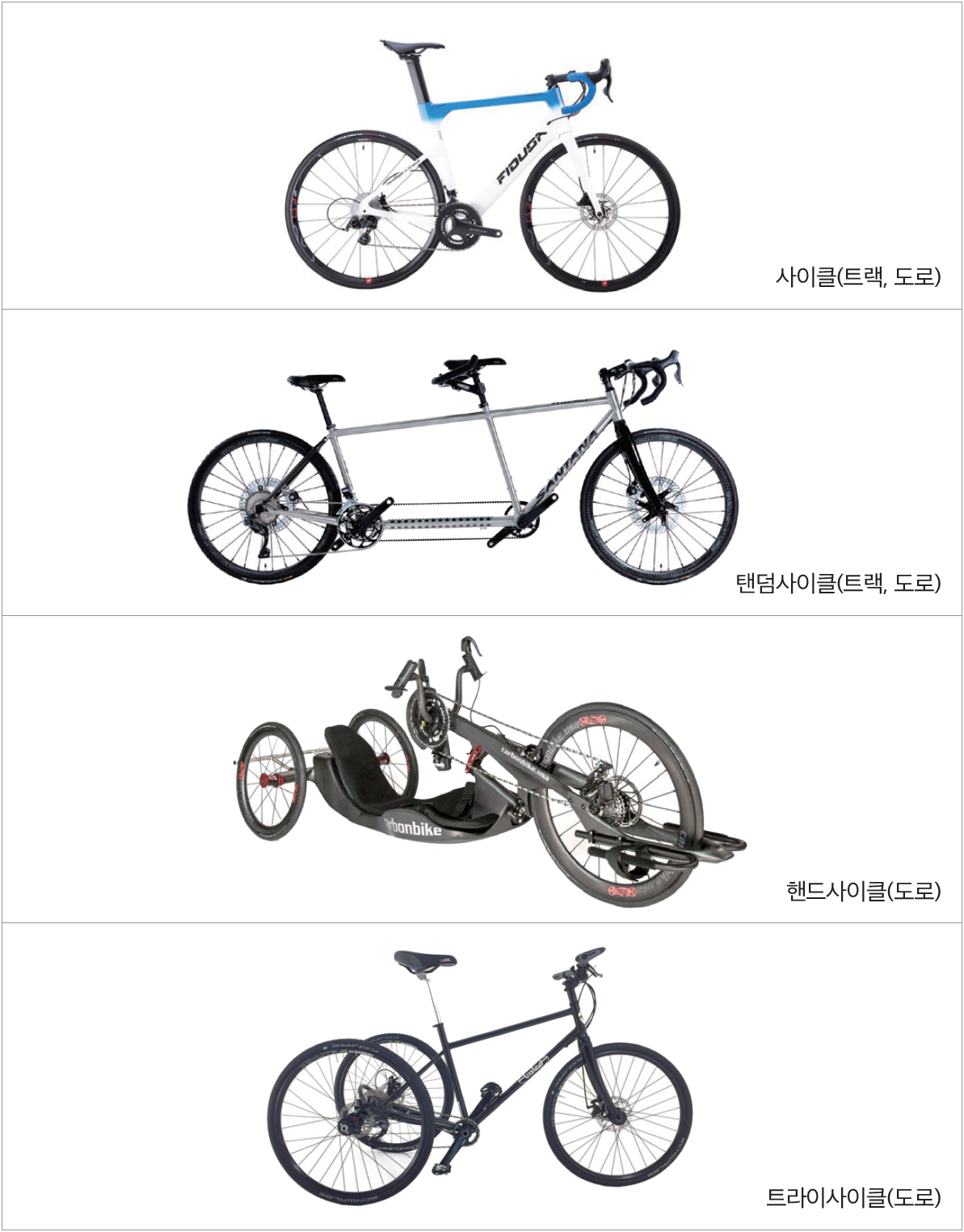 10ccf18a912b4.png