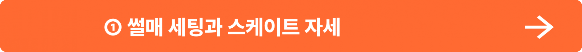 ① 썰매 세팅과 스케이트 자세