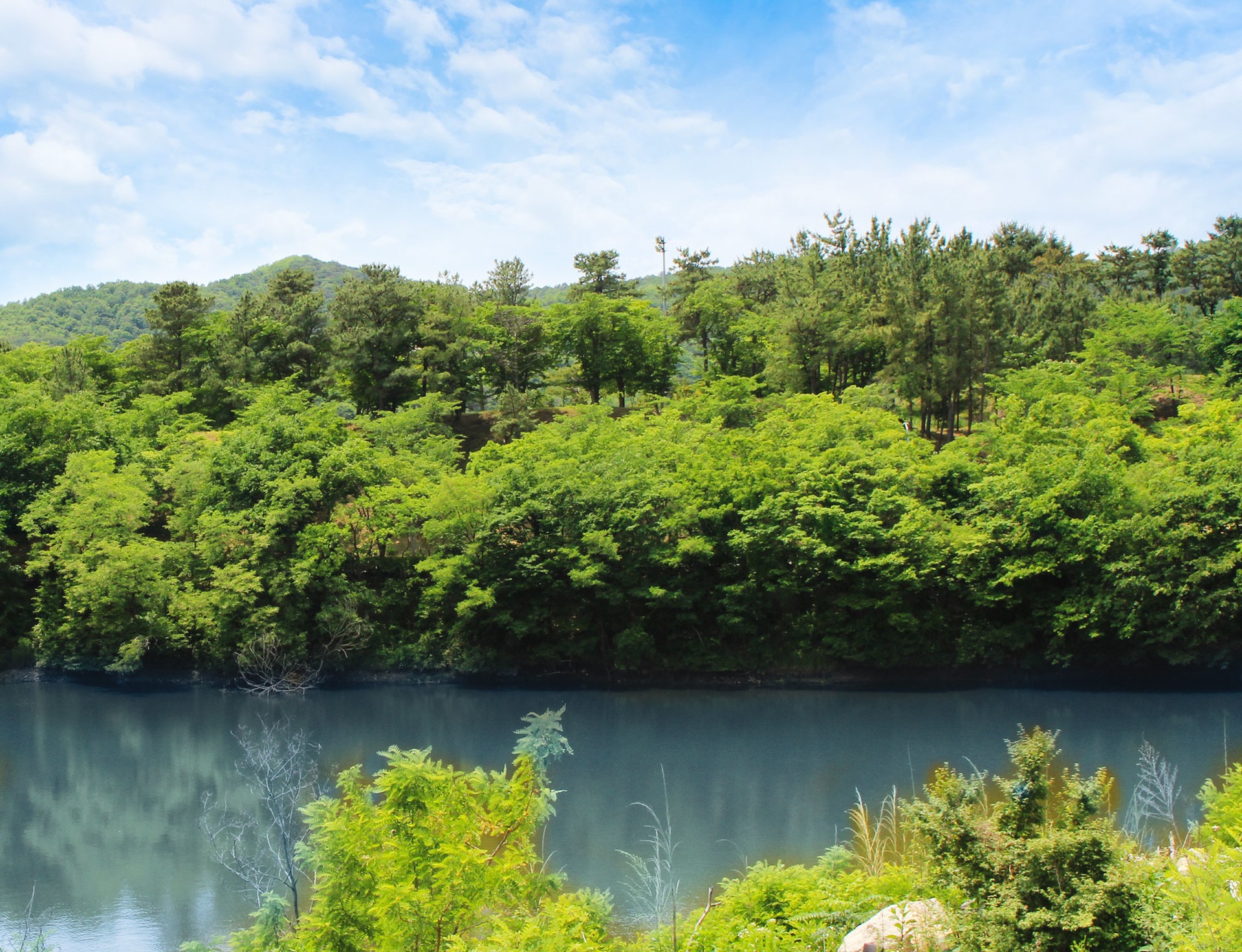 Nature and Villa