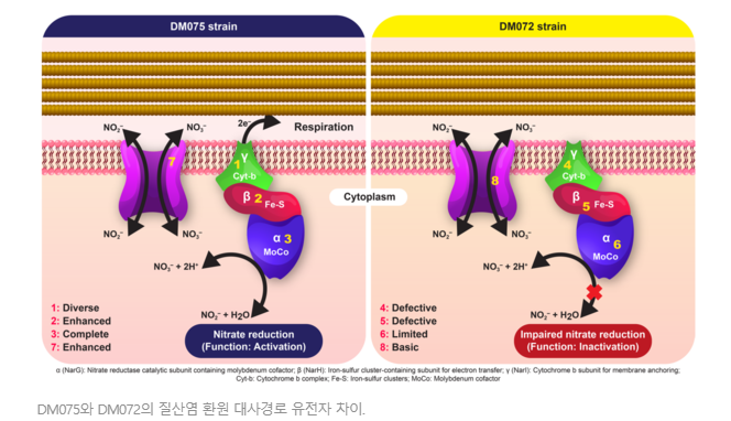 홈페이지 이미지.png