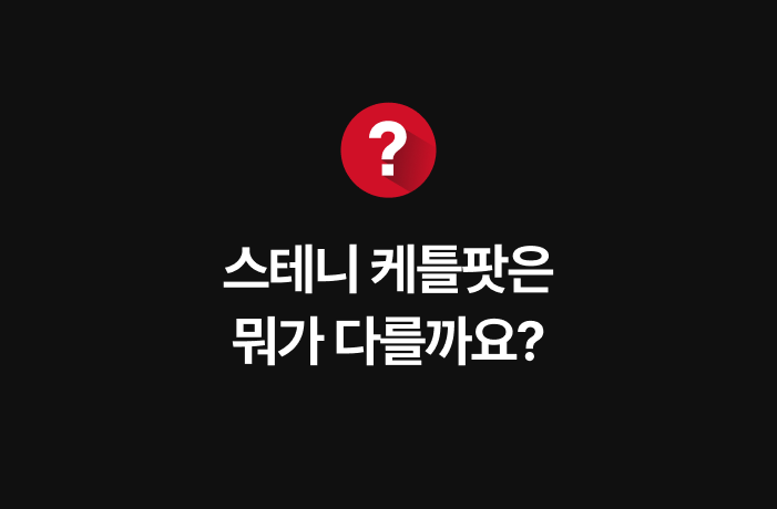 [최화정 Pick] 스테니 무연마제 2in1 멀티 케틀팟