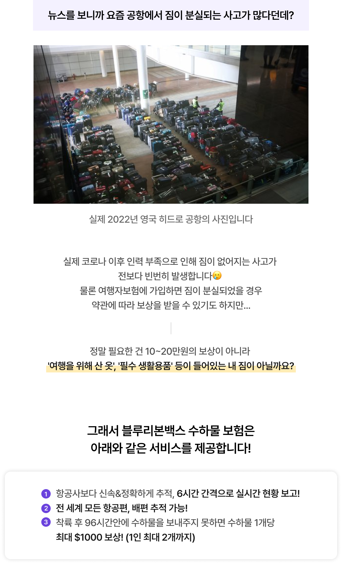 수하물보험