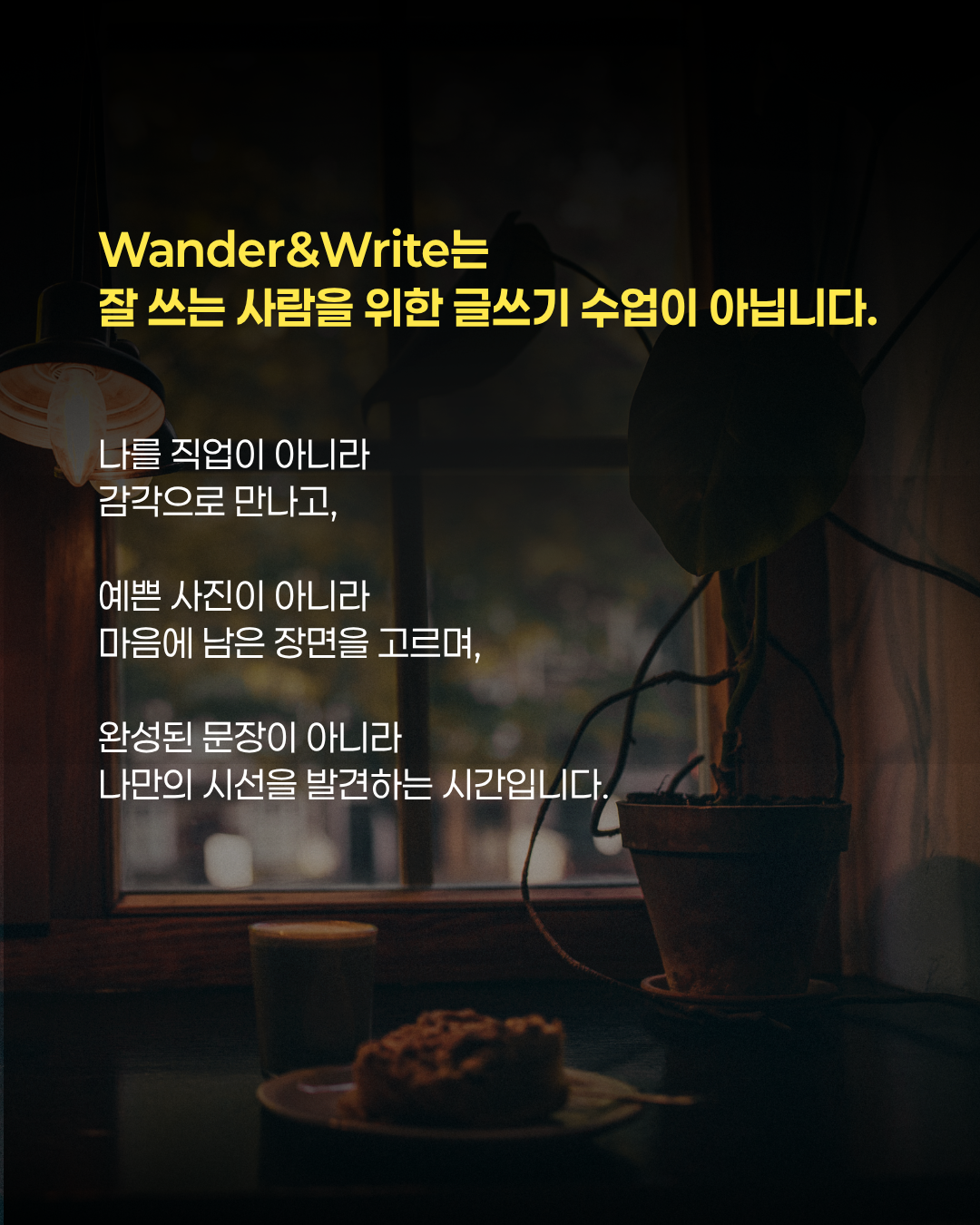 Wander & Write