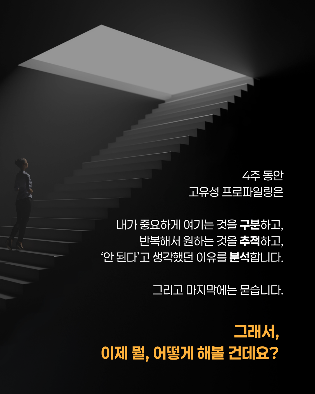 고유성 프로파일링 6기