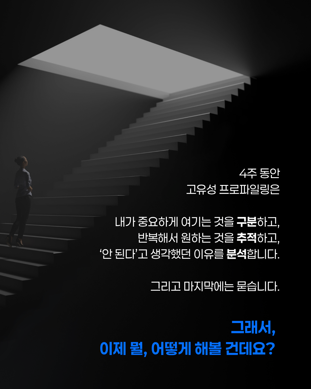 고유성 프로파일링 6기