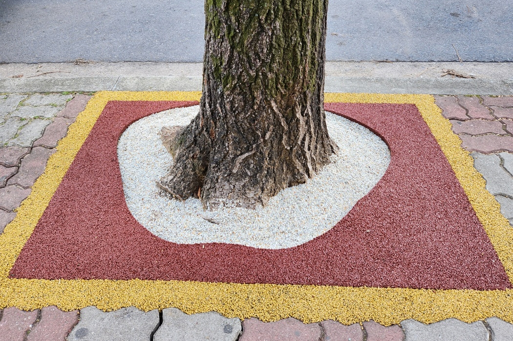 2a6884065617c.jpg