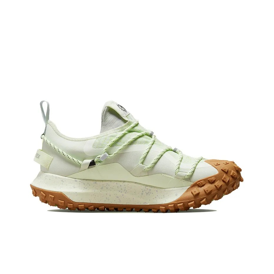 ACG 마운틴 플라이 고어텍스 SE DD2861-001