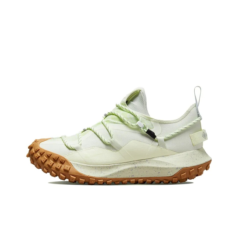 ACG 마운틴 플라이 고어텍스 SE DD2861-001