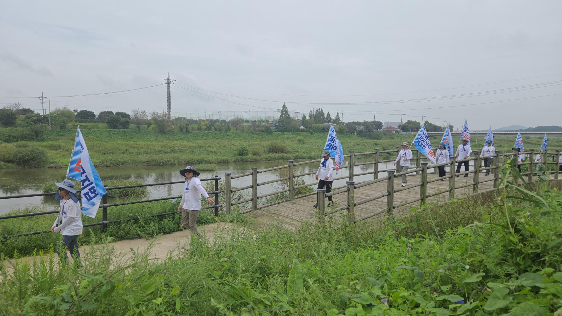 38312e1201f34.jpg