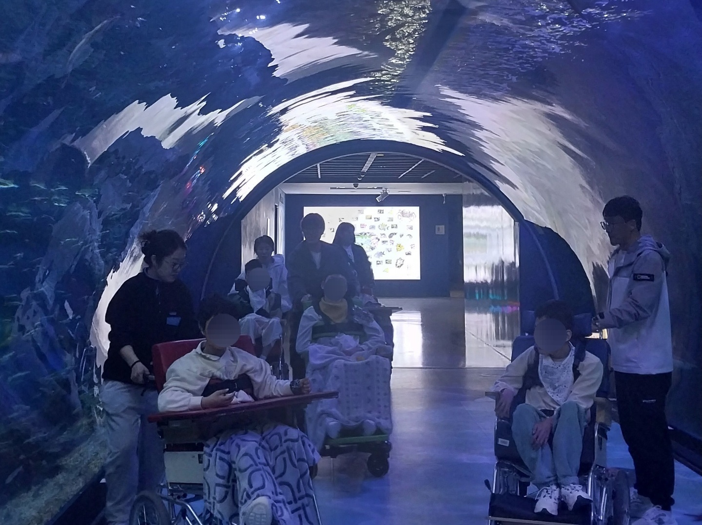 국내최대 아쿠아플라넷을 관람하는 이용자와 직원들