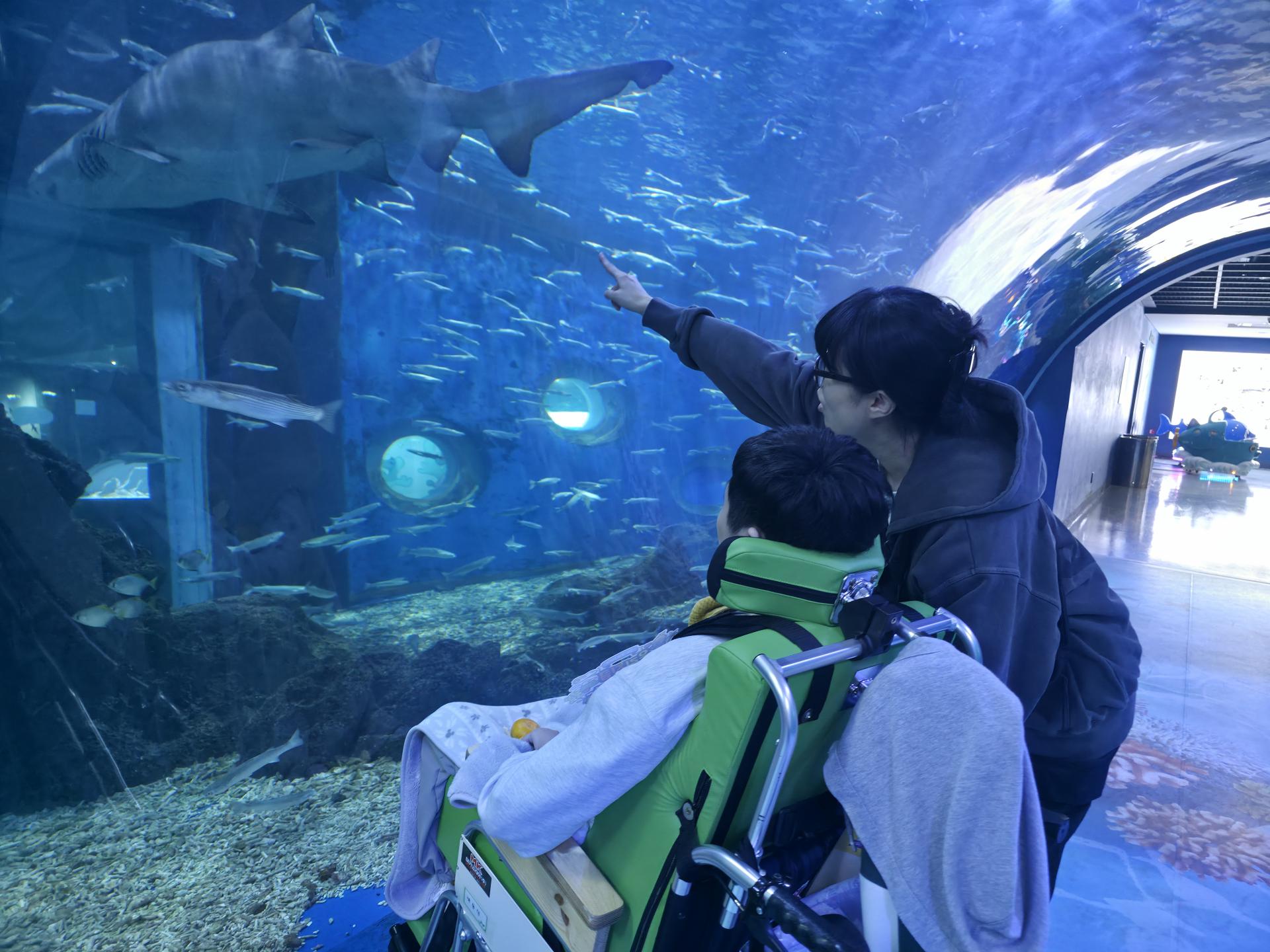 국내최대 아쿠아플라넷을 관람하는 이용자와 직원, 직원이 상어를 향해 손짓하며 설명하고 있다.