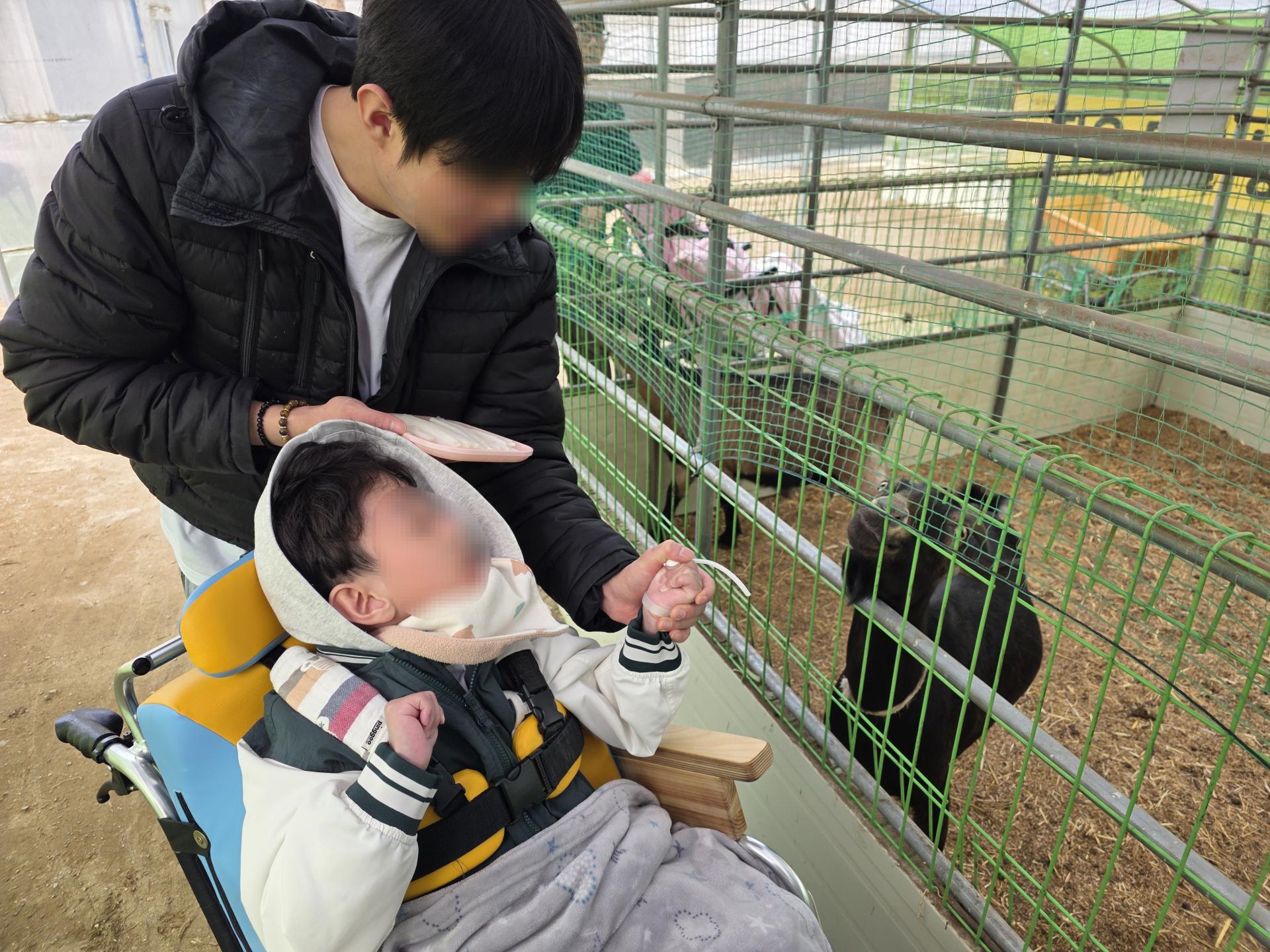 동물먹이주기 체험을하고 있는 이용자와 직원