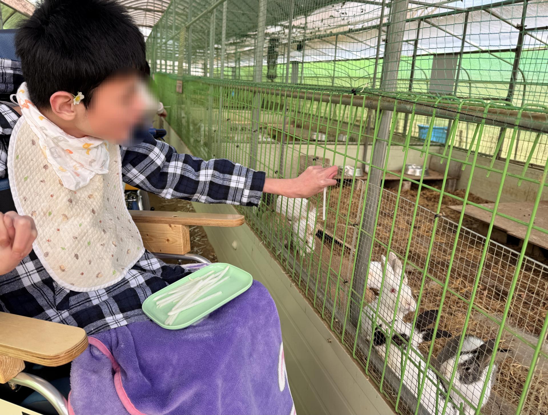 동물먹이주기 체험을 하며 즐거워하는 이용자