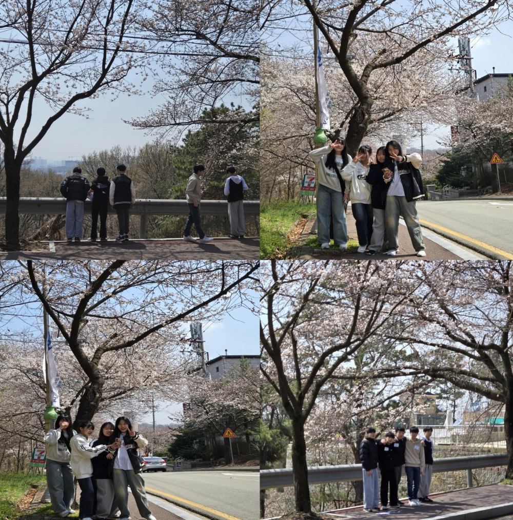 a45154e348d9c.jpg