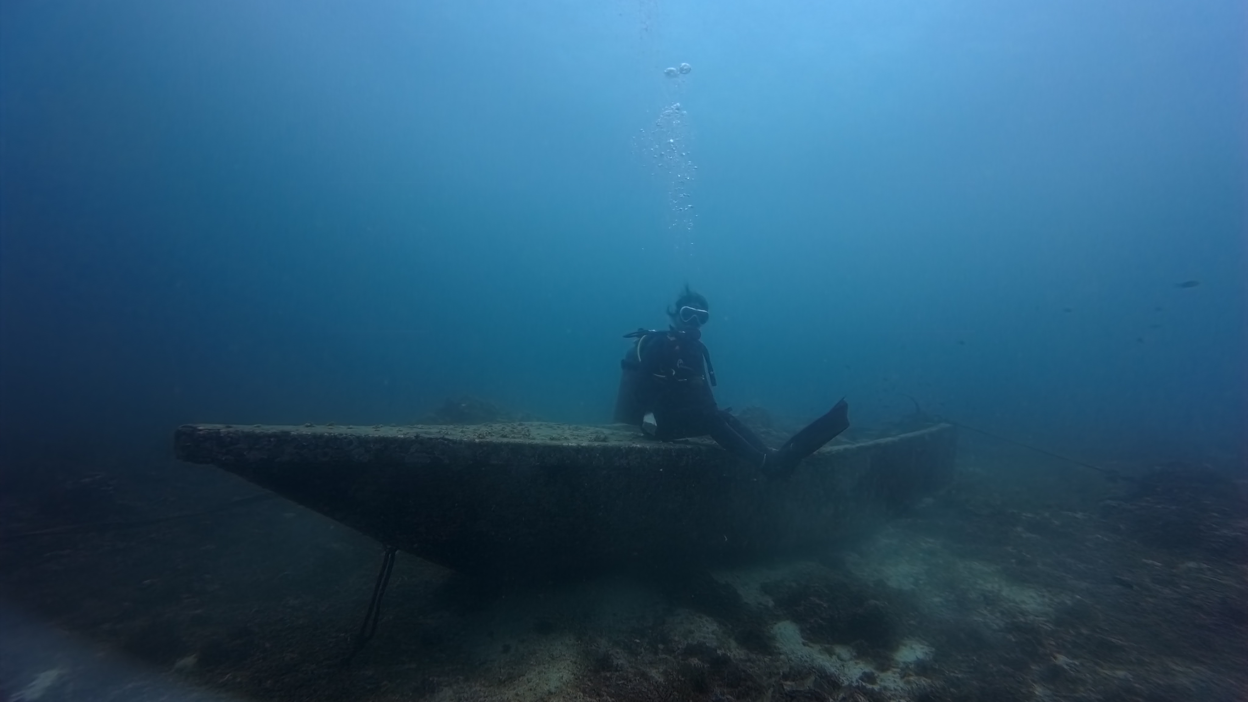 c2a764518ec6c.jpg