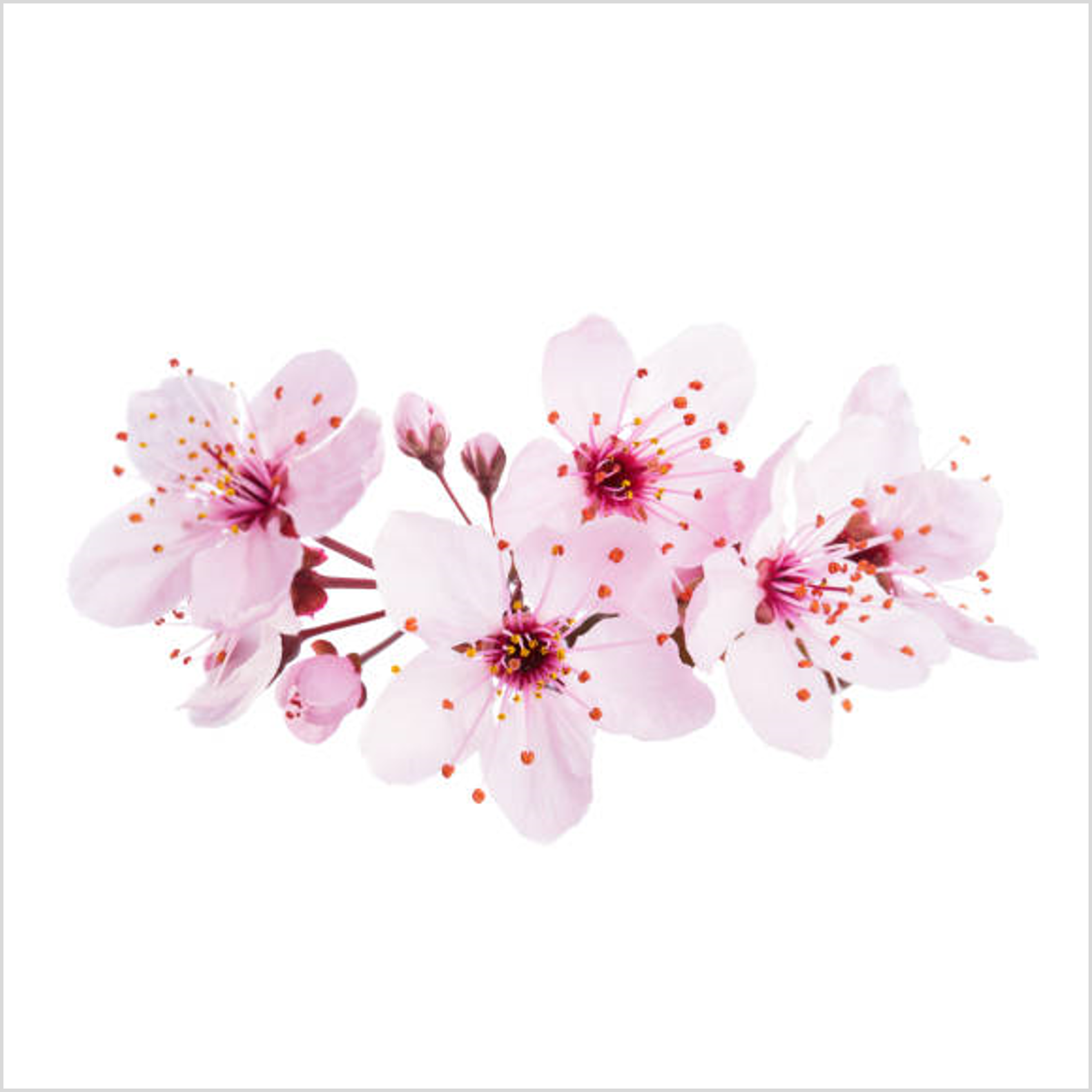0092d3b4f6737.png