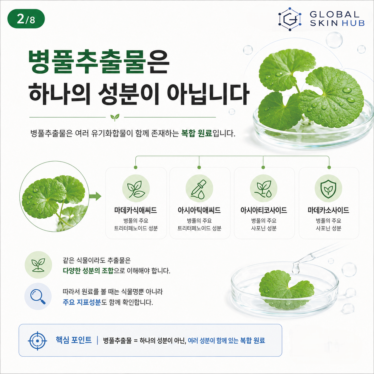 병풀추출물이 여러 유기화합물로 이루어진 복합 원료임을 설명하는 슬라이드