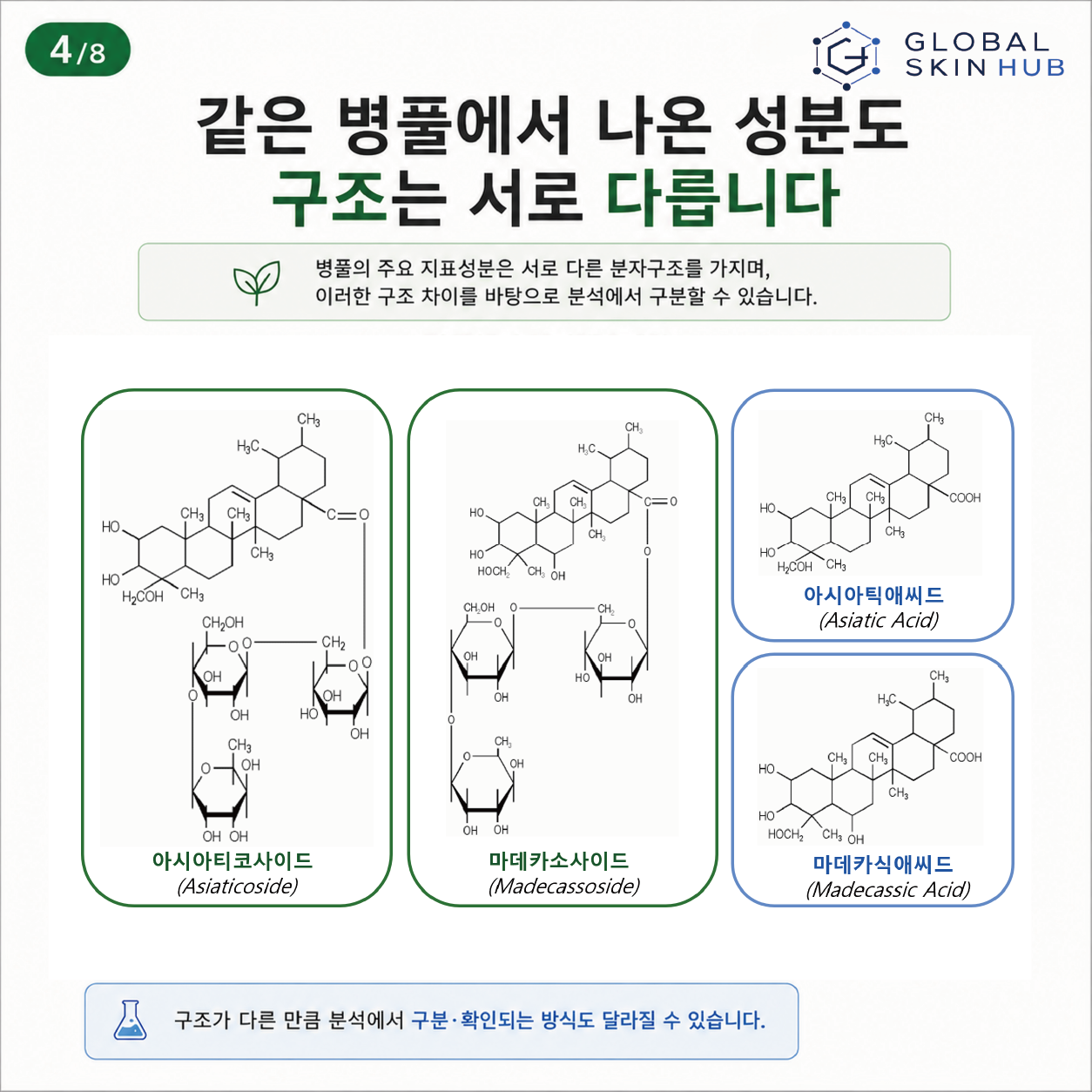 병풀 주요 지표성분 네 가지의 분자구조 차이를 보여주는 슬라이드