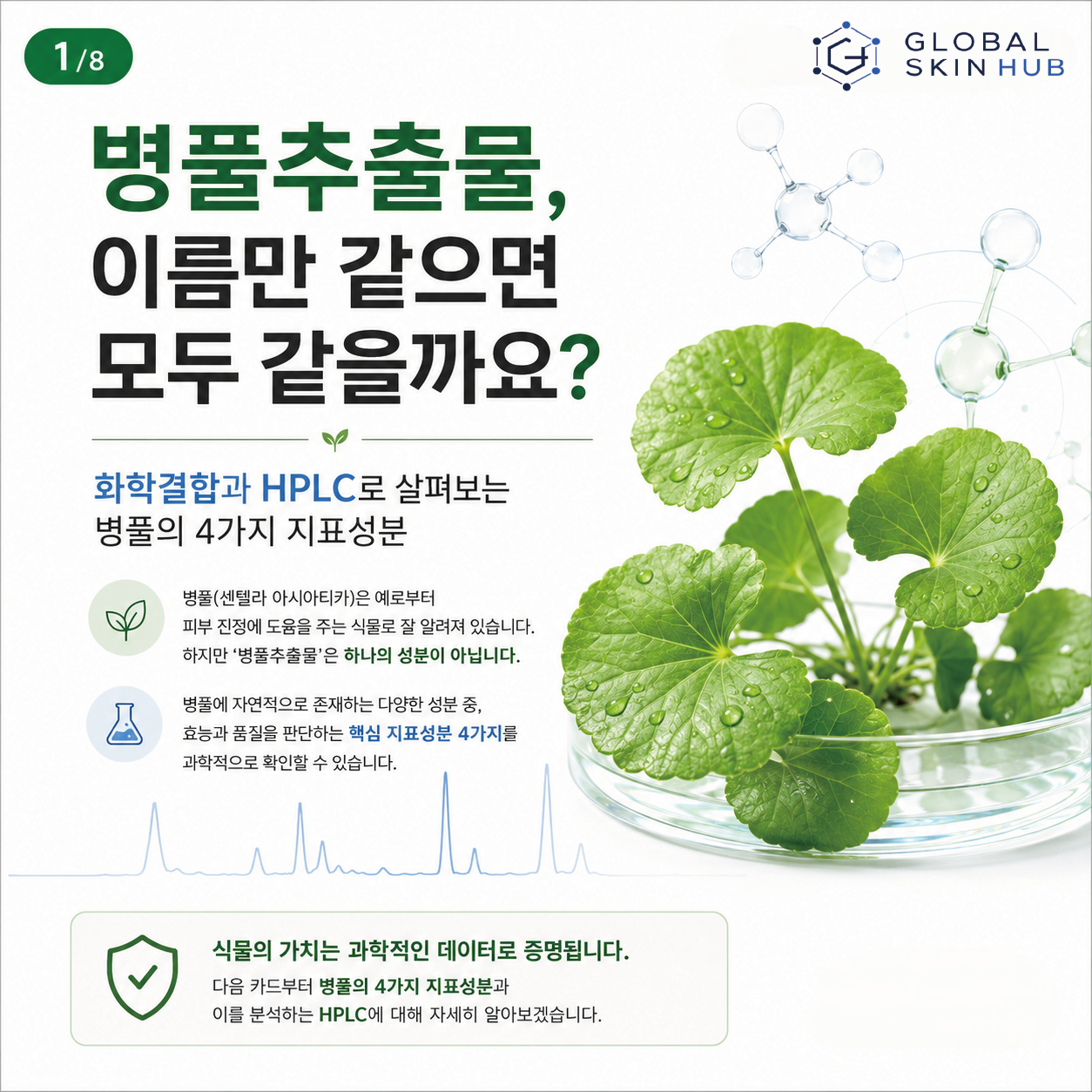 병풀추출물의 지표성분을 화학결합과 HPLC로 살펴보는 카드뉴스 표지