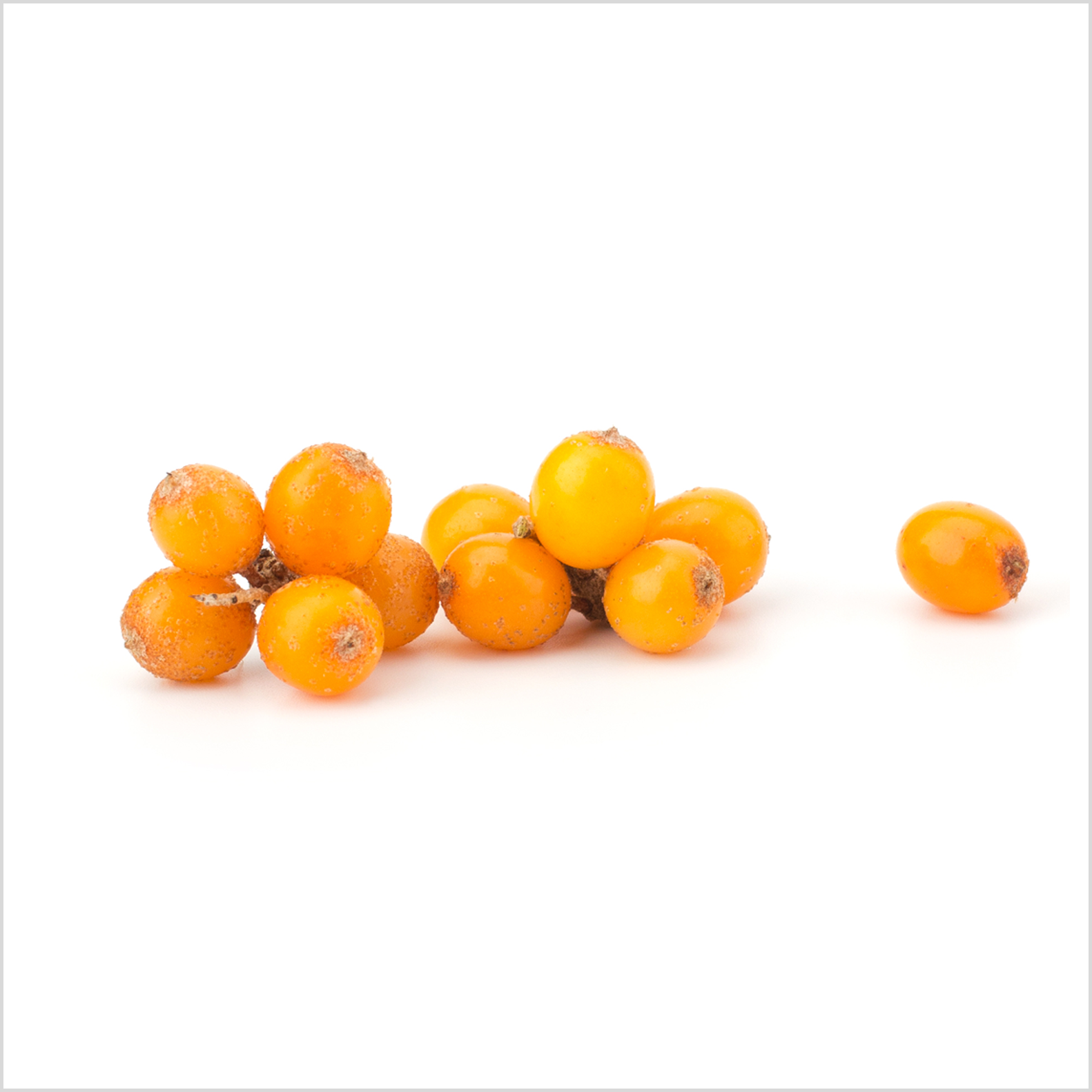 4c7fbdb22782d.png