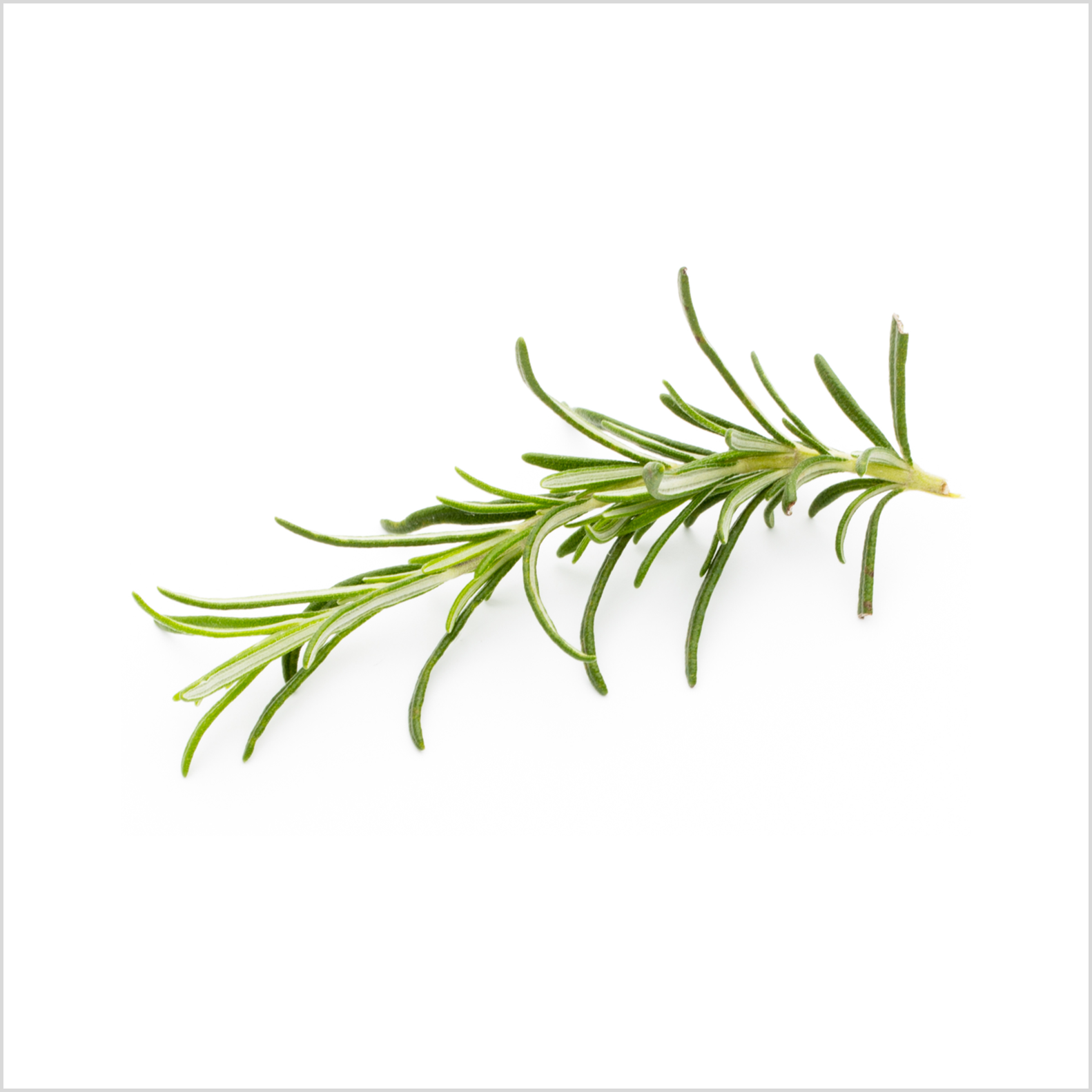 Ingredient Image