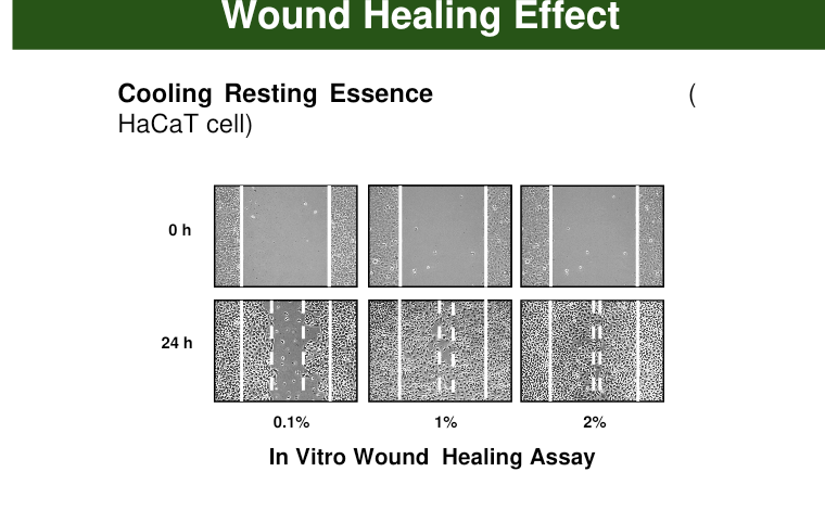 Cooling Resting Essence HaCaT 세포 이동 시험