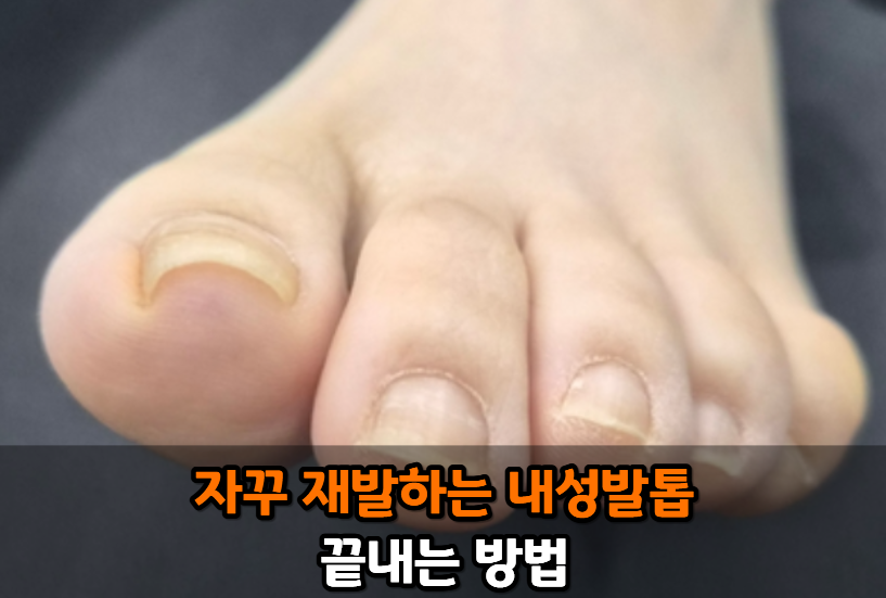 5a9637c1abcf0.png