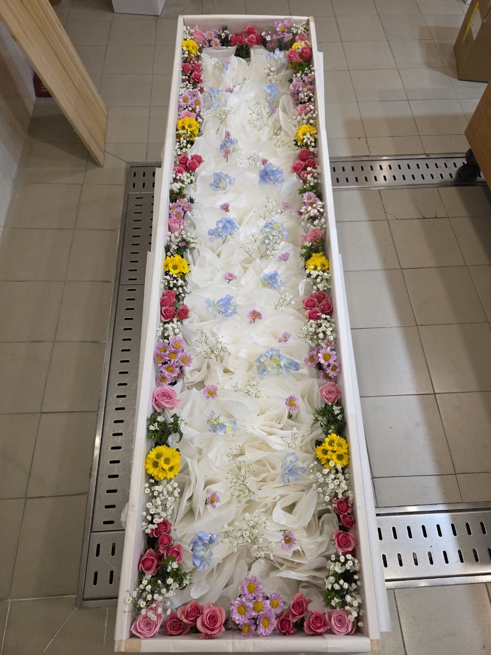 848df054c6d6a.jpg
