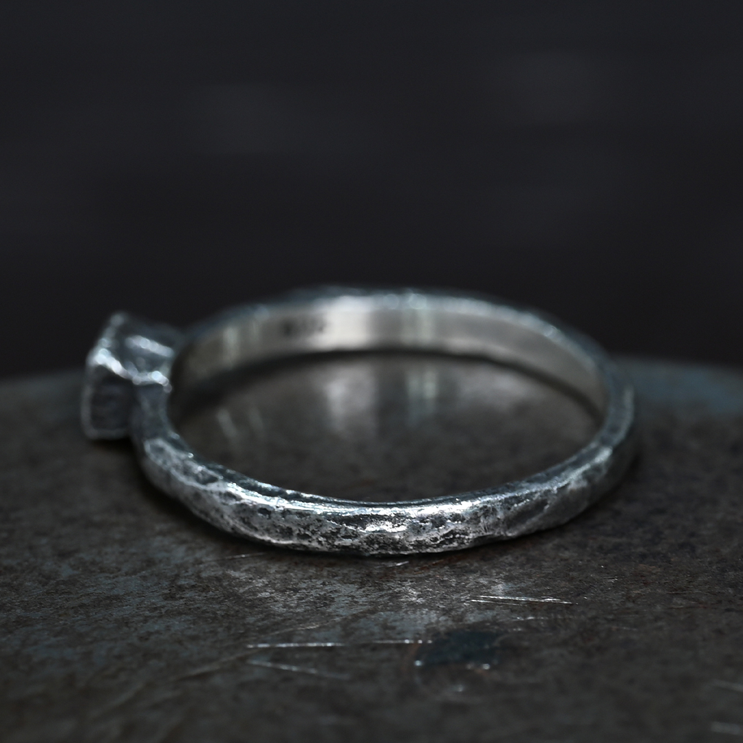 JS008