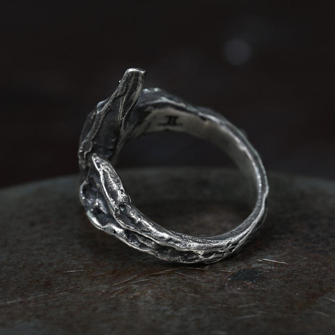JS005