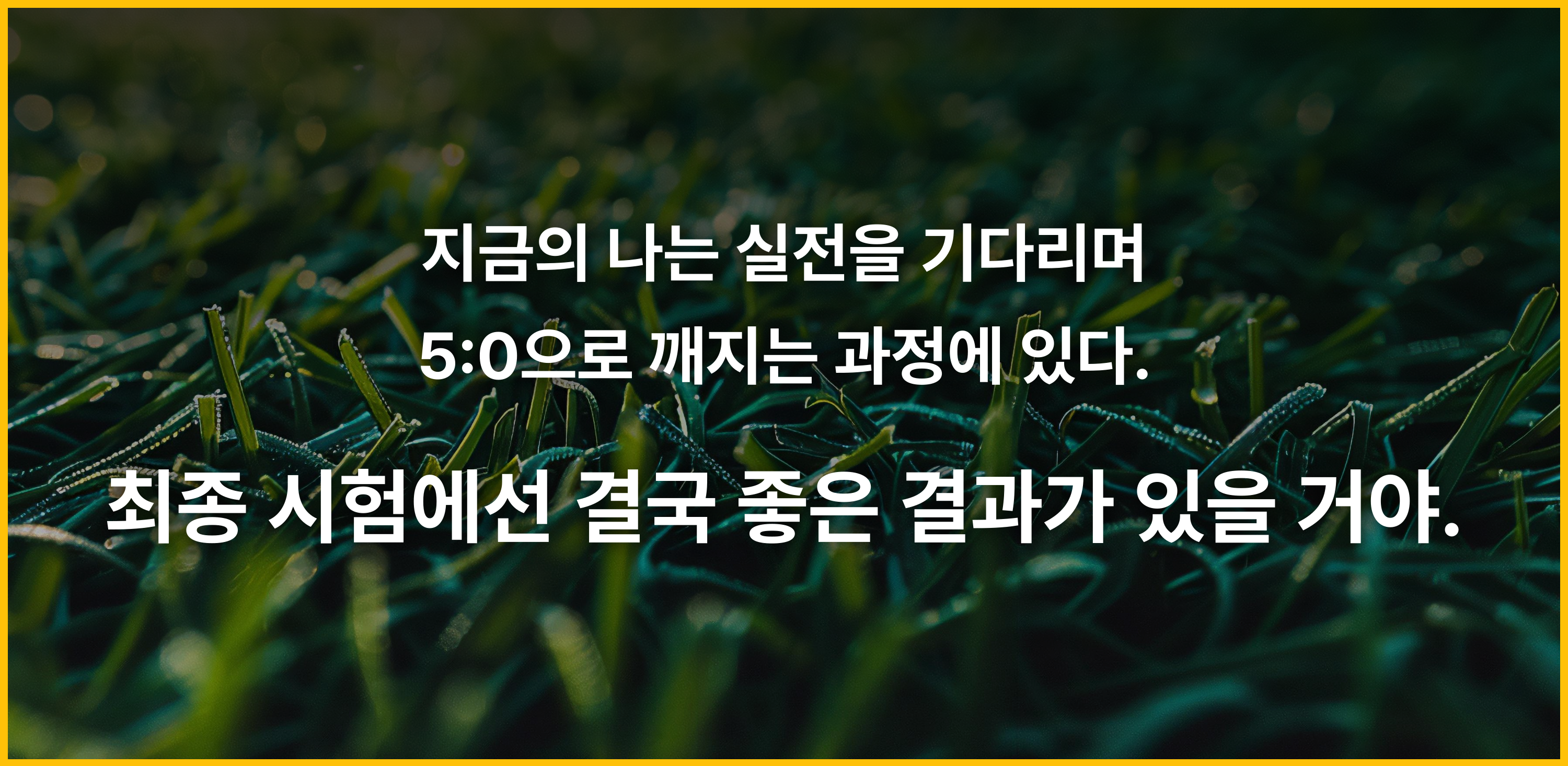 1a6b6fea5514d.png