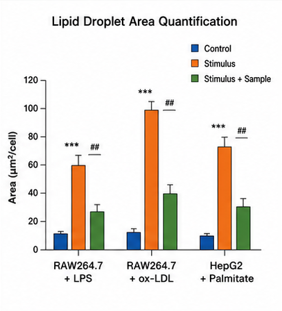 Lipid Droplet Area Quantification Graph 예시