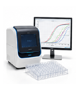 오가노이드 qPCR RNA-seq 분석 이미지