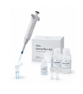 qPCR RNA 추출 이미지