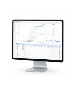 qPCR 정량 분석 이미지