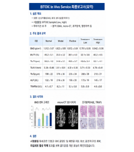 골다공증 개선 동물모델 결과표 및 최종보고서 예시
