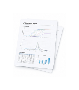 qPCR 결과 보고서 이미지