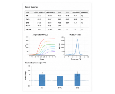 qPCR final report preview 예시