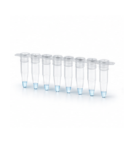 qPCR cDNA 합성 이미지