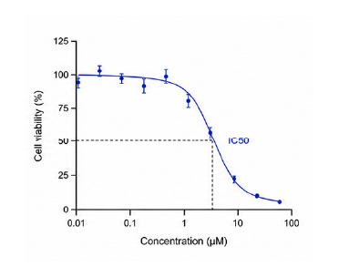 Organoid drug response graph 결과 예시