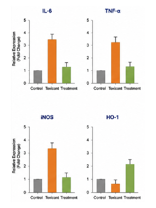 qPCR gene expression result graph