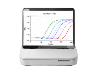 qPCR 유전자 분석