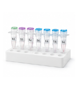 qPCR 샘플 접수 이미지