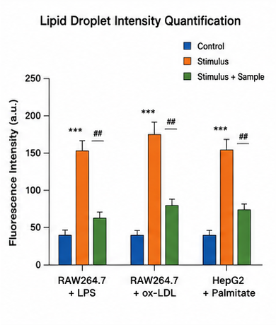 Lipid Droplet Intensity Quantification Graph 예시
