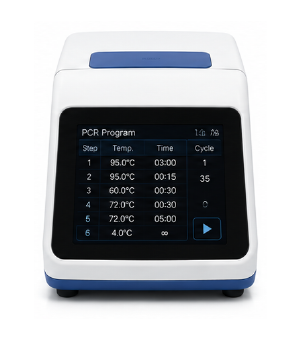 PCR 증폭 이미지