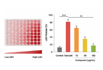 LDH 세포막 손상 분석 결과 예시