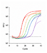 qPCR Data