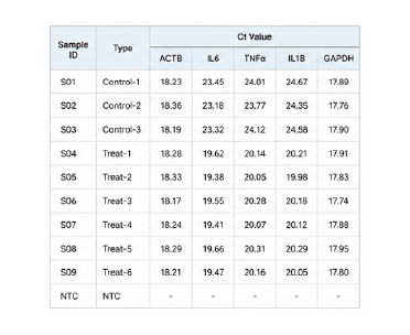 qPCR Ct value raw data 예시